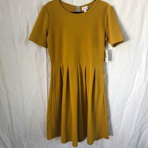 NWT Lularoe Amelia Dress